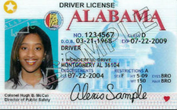 Florida drivers license star meaning search